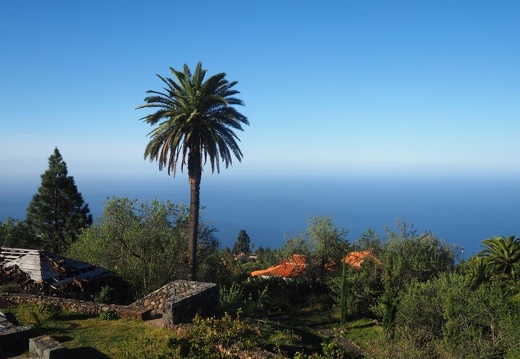 La Palma März 2015
