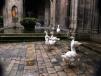 Kathedrale