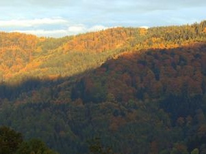 Herbst-Panorama
