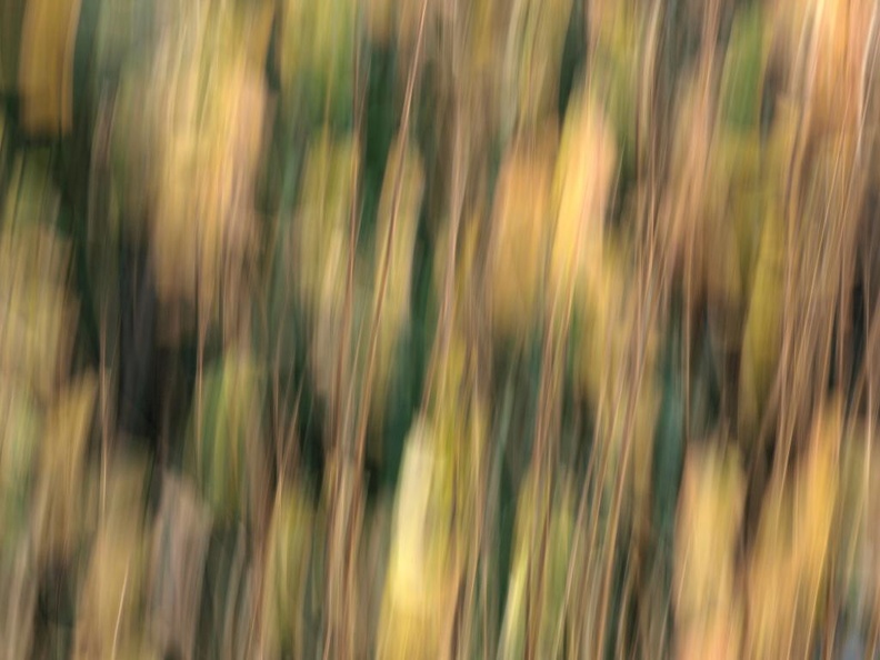 original35.jpg