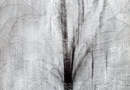 Im Nebel - display this album Im Nebel