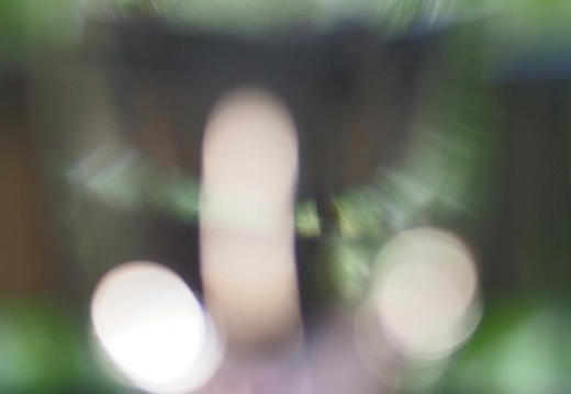 Gläser