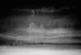 Im Nebel - display this album Im Nebel