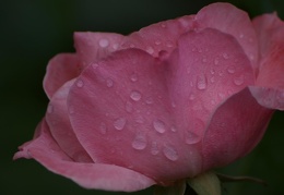 Nach dem Regen - display this album Nach dem Regen