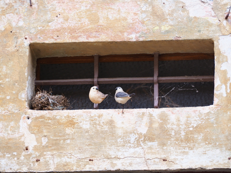 Como - Moneglia -Saluzzo - Costgliole d'Asti