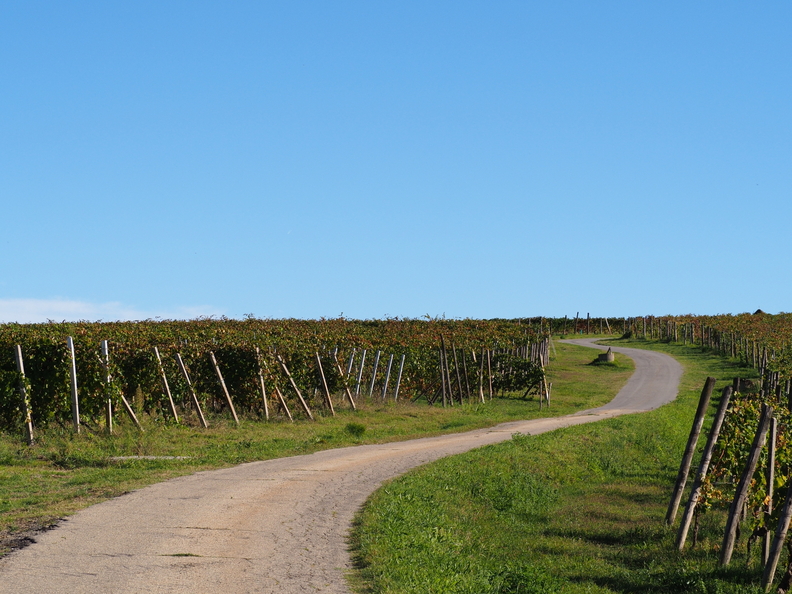 Como - Moneglia -Saluzzo - Costgliole d'Asti