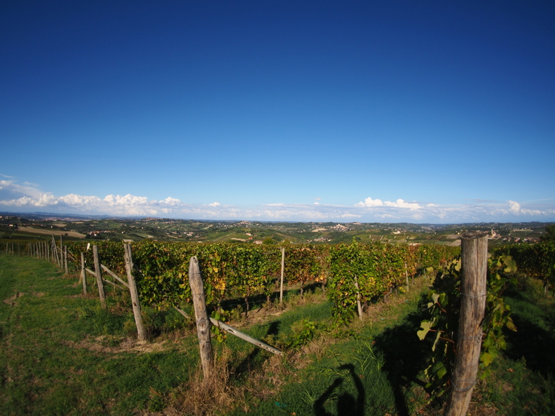 Como - Moneglia -Saluzzo - Costgliole d'Asti